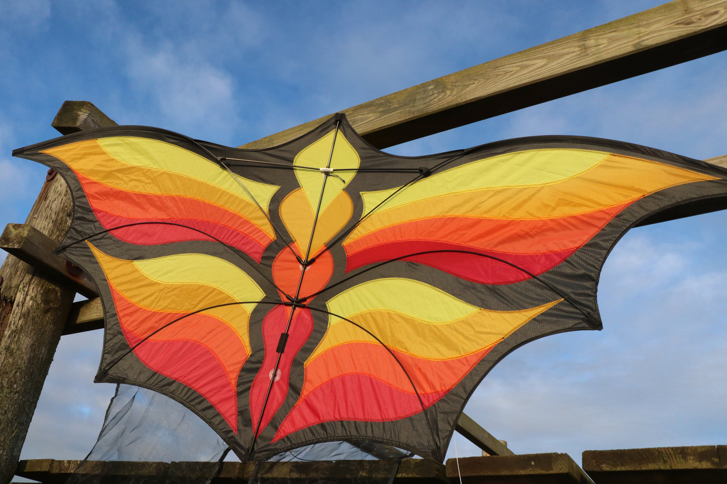 Brasington Butterfly Kite - Red