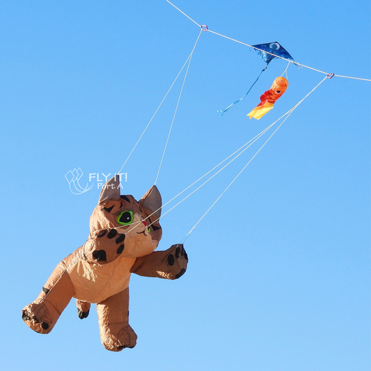 A large inflatable cat-shaped kite flying high in the sky, with thin strings connecting it to kite line. The background is a clear blue sky, and a watermark with text is visible in the center.