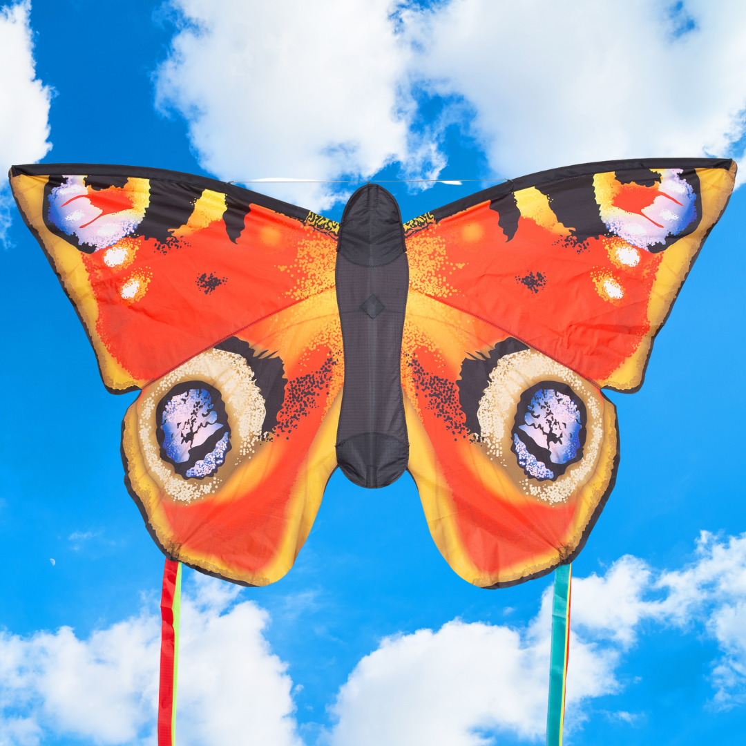 Hummingbird Kite 3D/Creature Kites – Fly It Port A