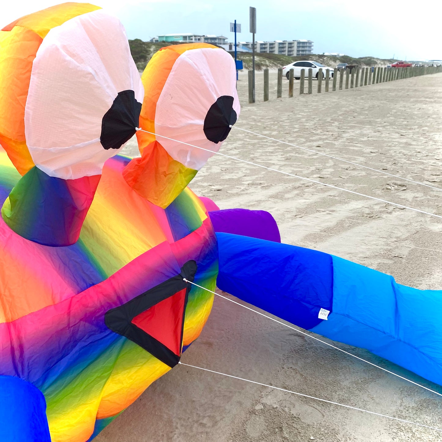 Billy the Crab 3M - Rainbow