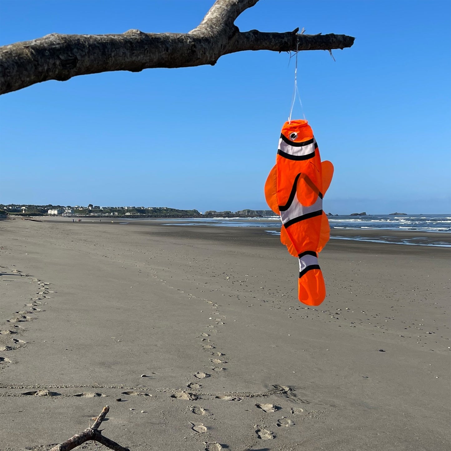 Clownfish Windsock - Small