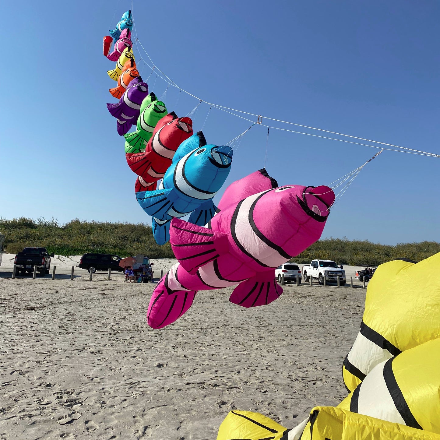 Clownfish line laundry on a kite string on the beach