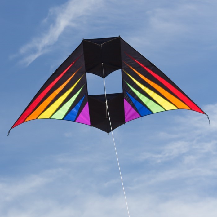 Conyne Delta Kite - Rainbow Burst