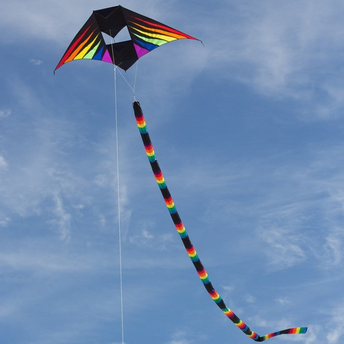 Conyne Delta Kite - Rainbow Burst