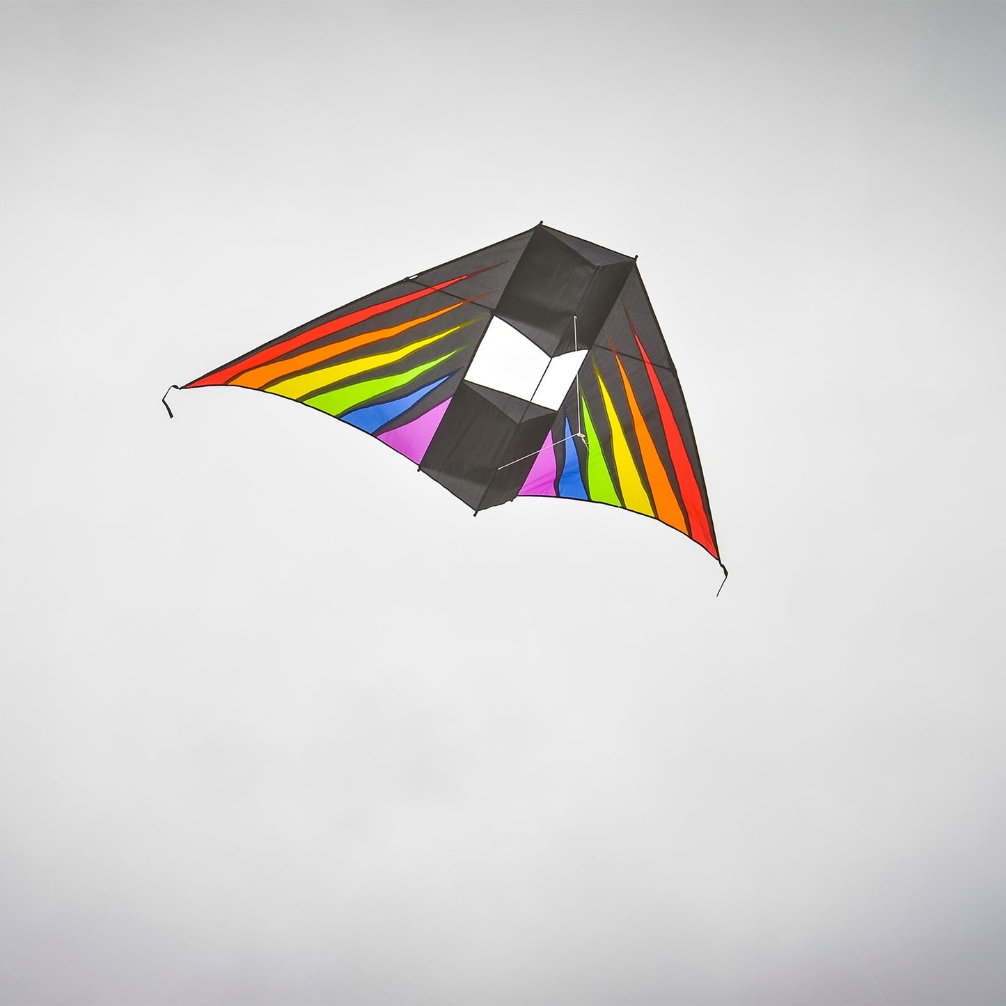 Conyne Delta Kite - Rainbow Burst