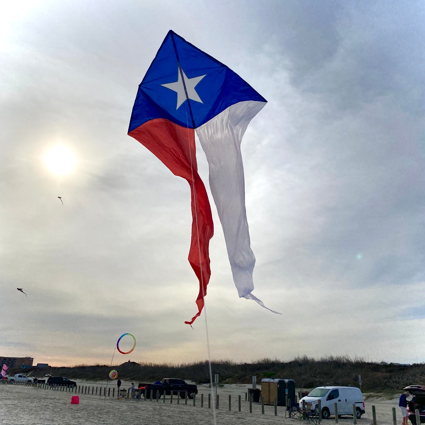 77" Wave Delta Kite - Texas