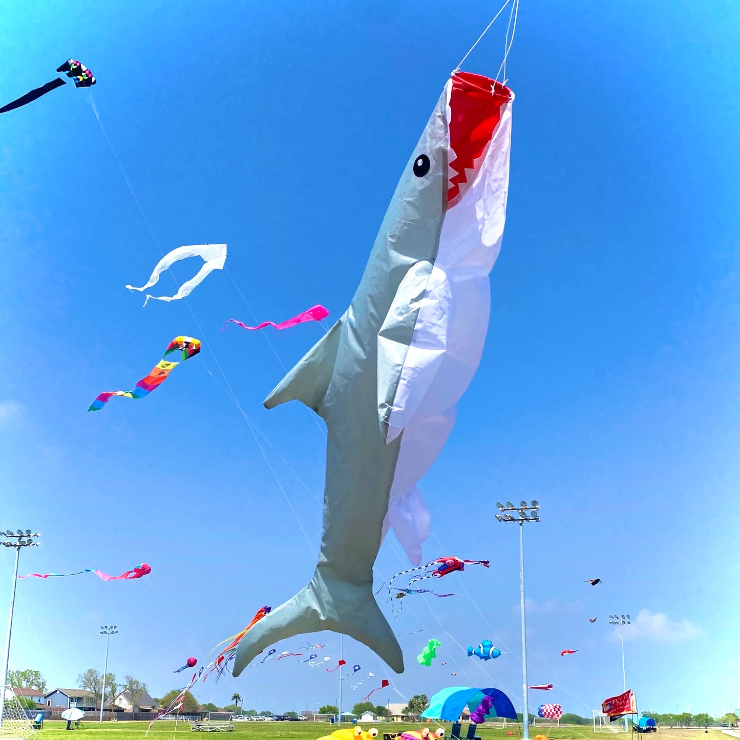 Big Breeze Windsock - Shark