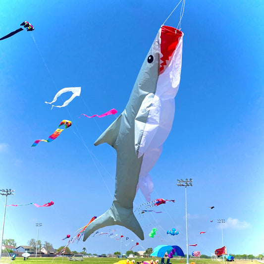 Big Breeze Windsock - Shark