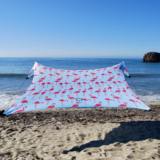 Neso Gigante - Flamingos
