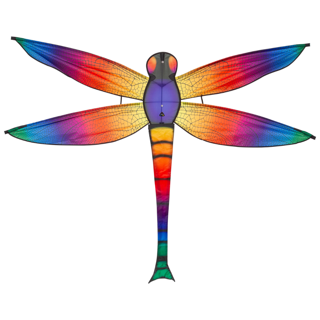 Colorful dragonfly kite on a white background