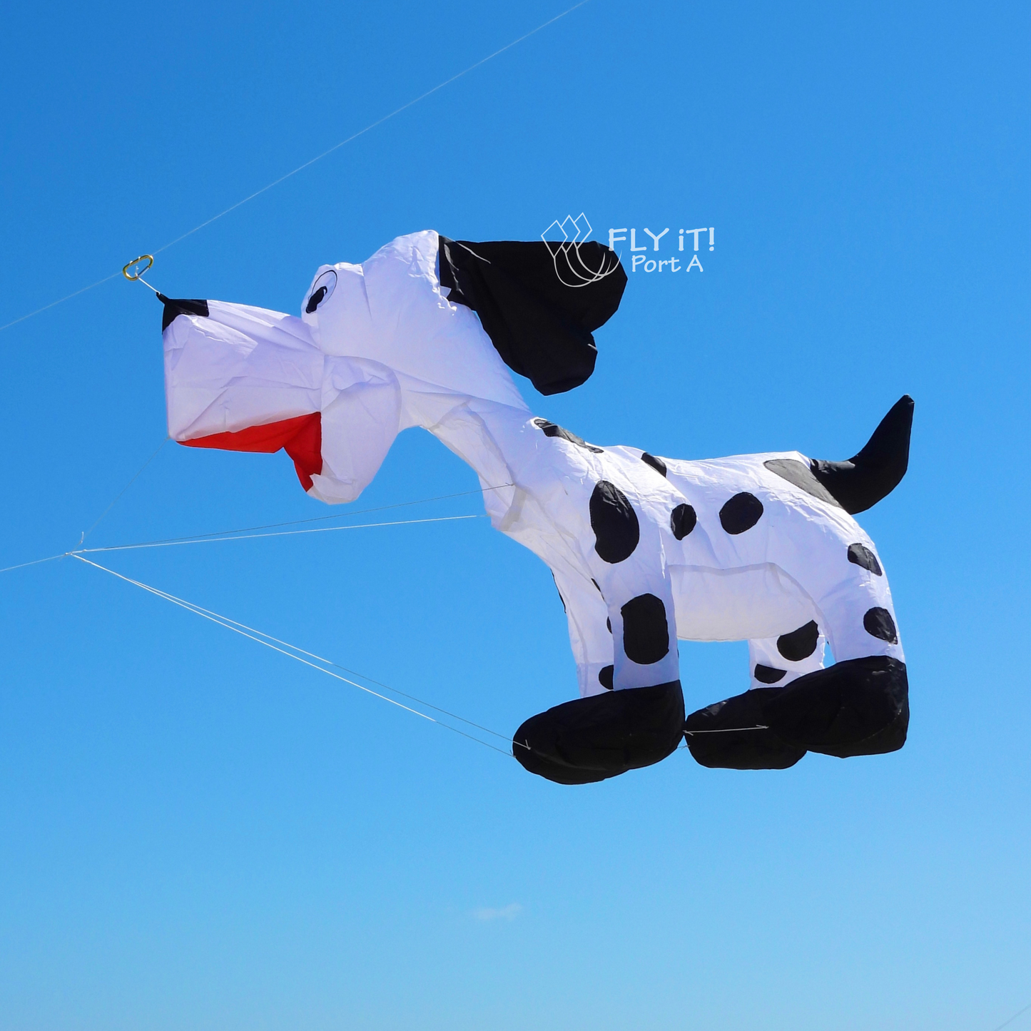 A large inflatable Dalmatian dog kite flying over a sandy beach under a clear blue sky. The kite is white with black spots, black ears and paws, and a red mouth.