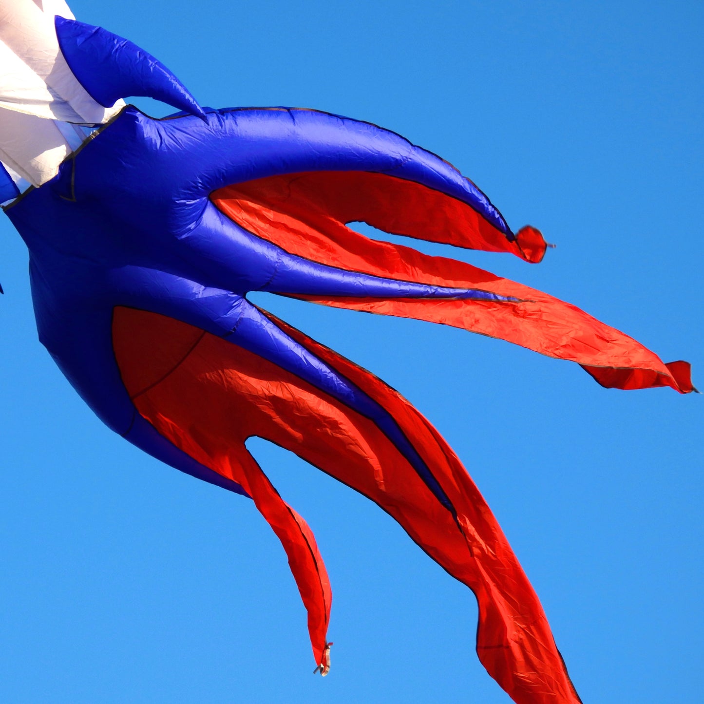 9m Goldfish Kite - Red, White & Blue