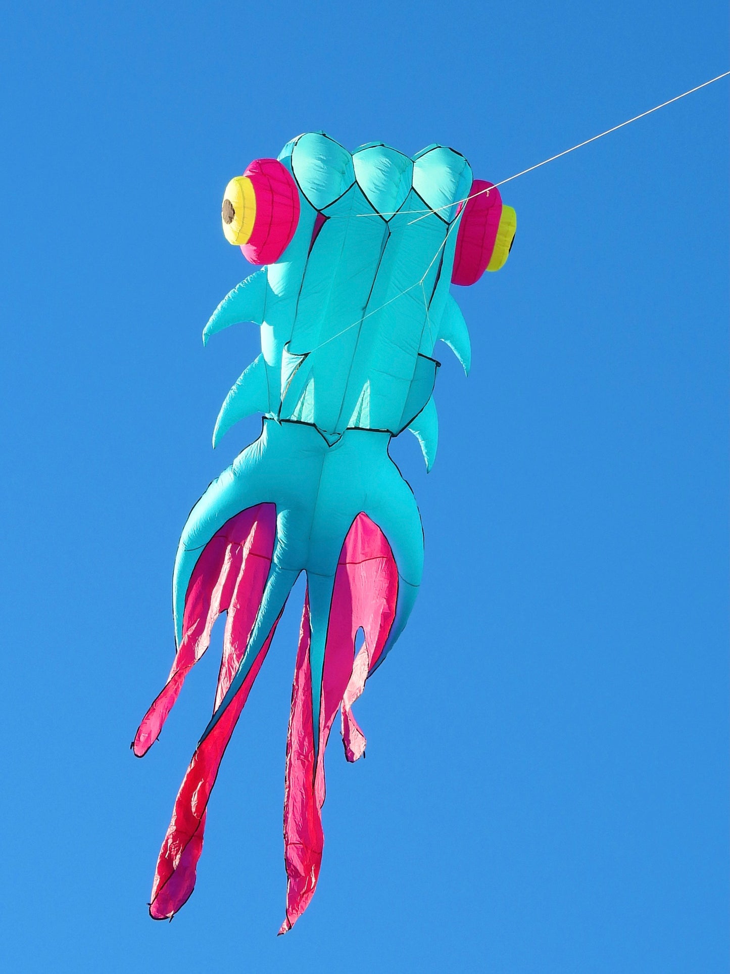 9m Goldfish Kite - Blue/Pink