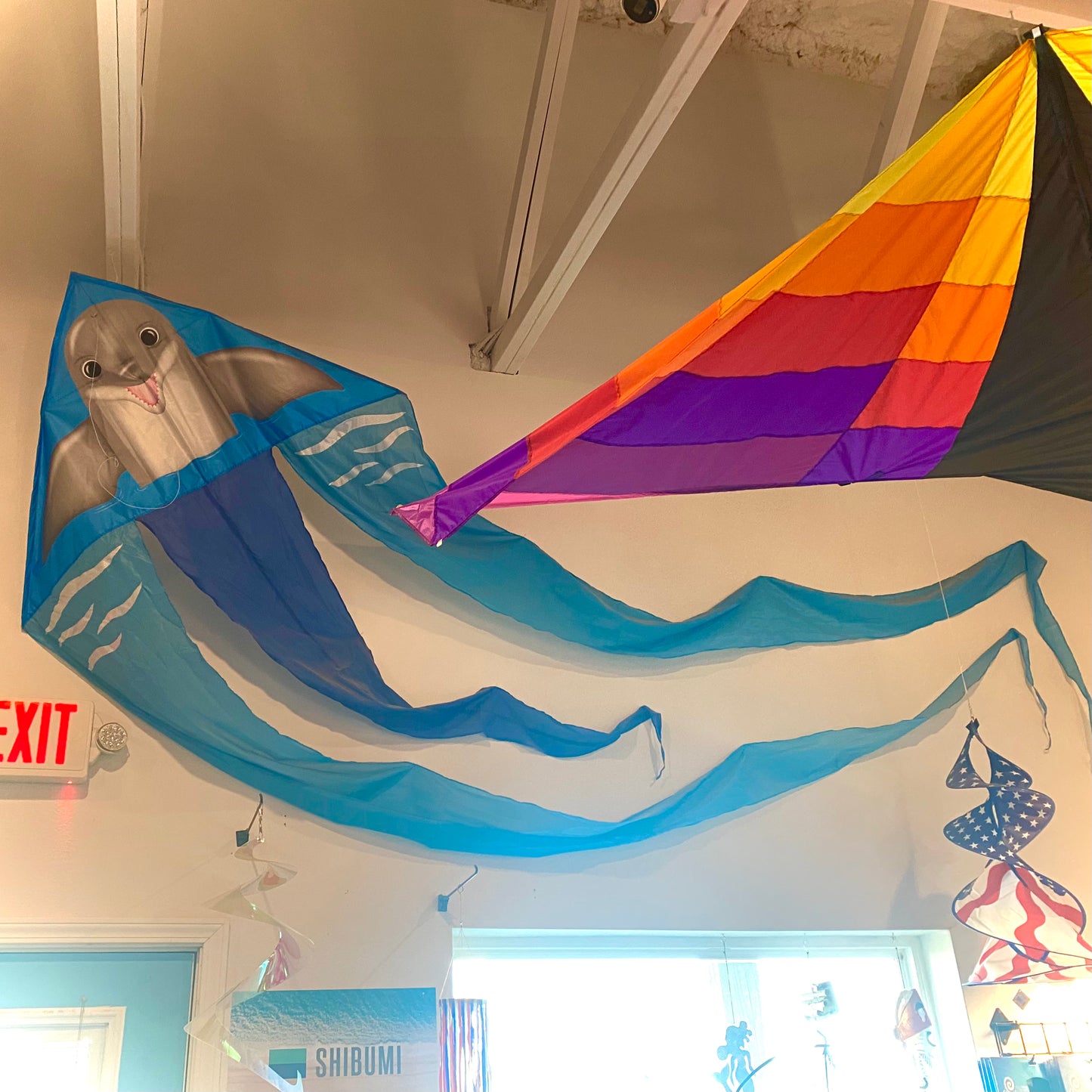 52" Wave Delta Kite - Dolphin