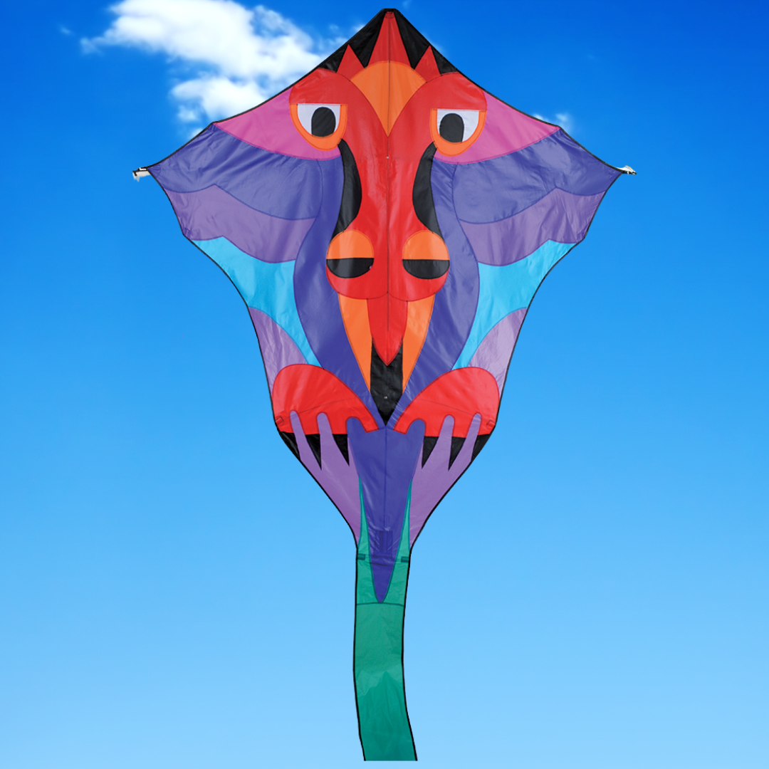 Hespeler Diamond Dragon Kite - Jewel