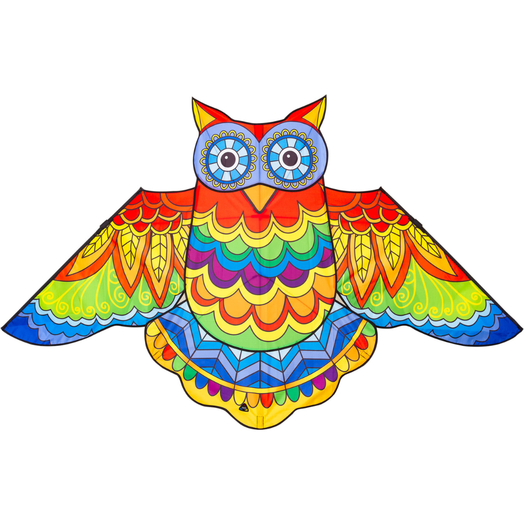 Colorful owl kite design on a white background