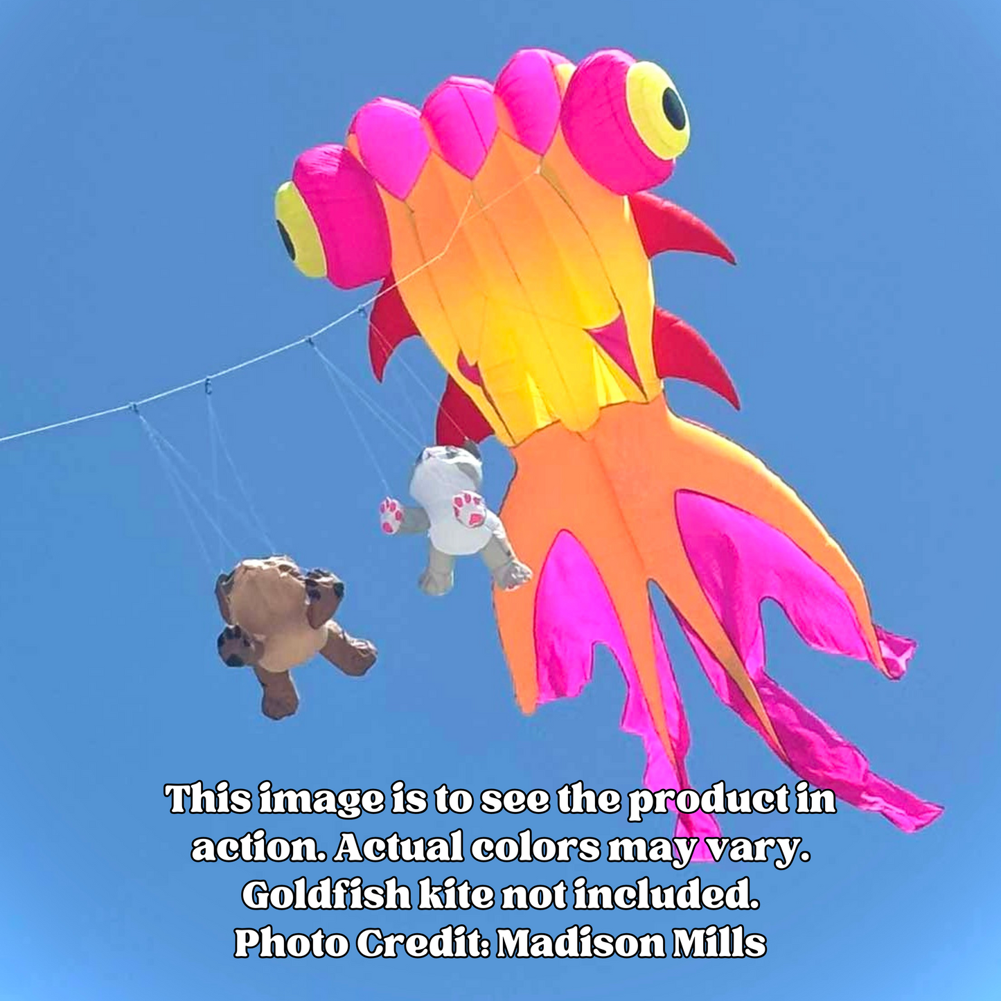 A large fish-shaped kite in bright pink, yellow, and orange flying against a clear blue sky, with two small kitten line laundry pieces below. White text at the bottom says the goldfish kite is not included and credits Madison Mills for the photo.