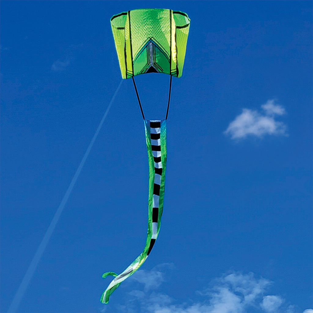 Green kite with a long tail against a blue sky