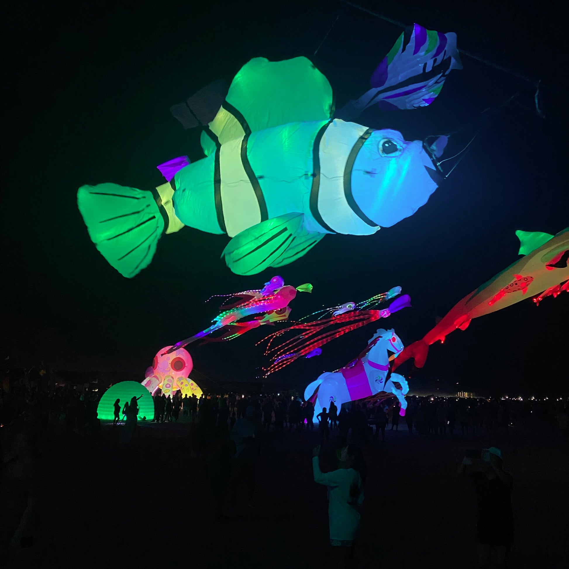 Colorful inflatable LED fish line laundry and octopus kites glowing in the dark.