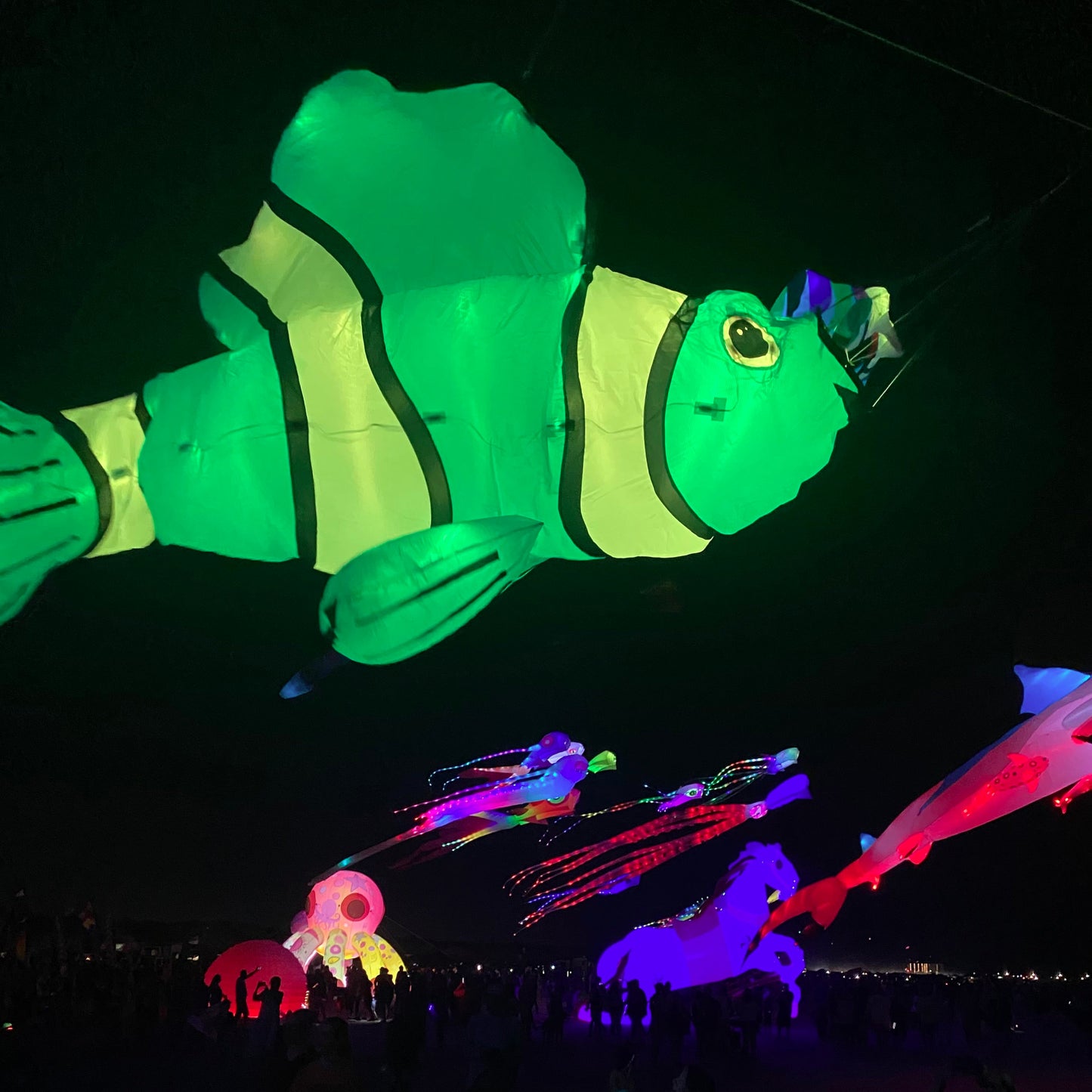 Colorful LED inflatable clownfish line laundry against a dark sky at night.