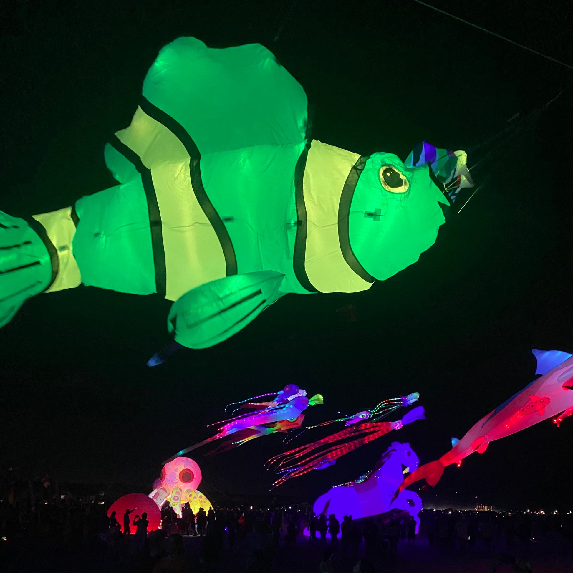 Colorful LED inflatable clownfish line laundry against a dark sky at night.