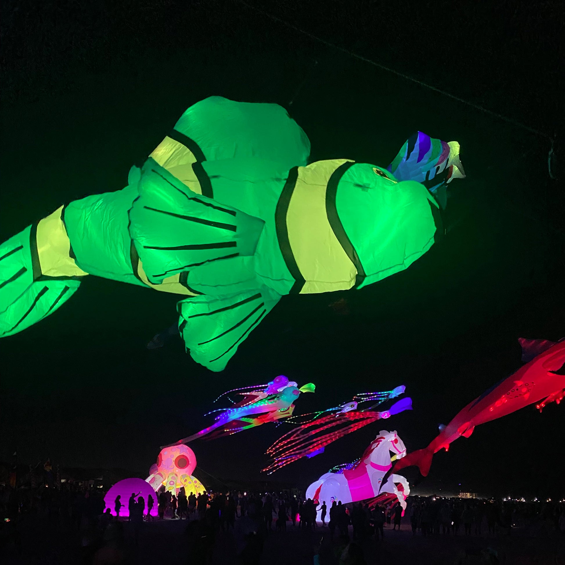 Colorful LED fish kite against a dark background