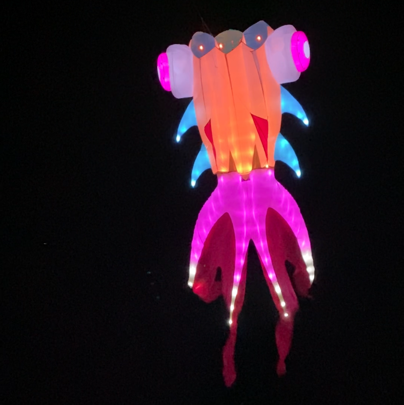 Colorful goldfish-shaped kite with glowing lights on a black background