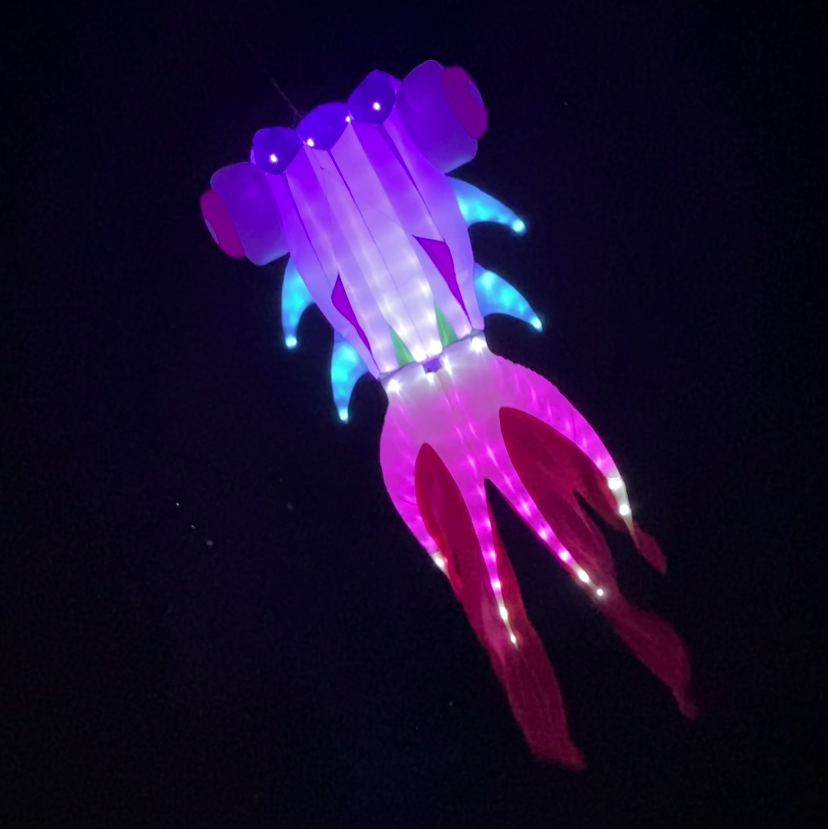 Colorful glowing LED goldfish-shaped kite on a black background