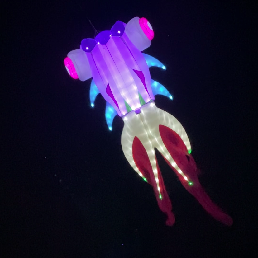 Colorful LED goldfish kite on a black background