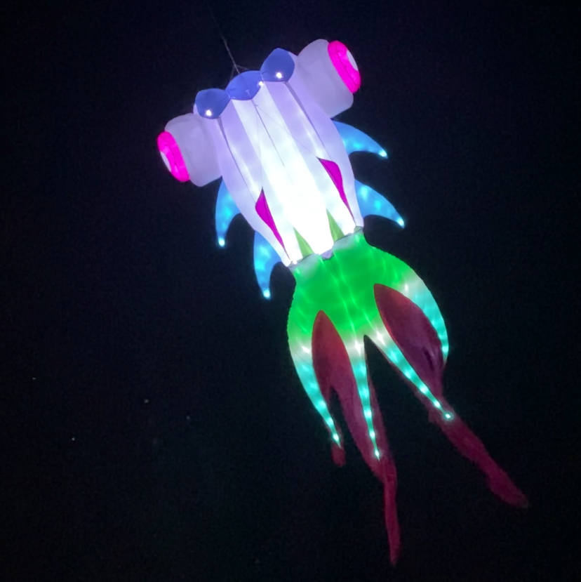 Colorful LED goldfish kite on a black background