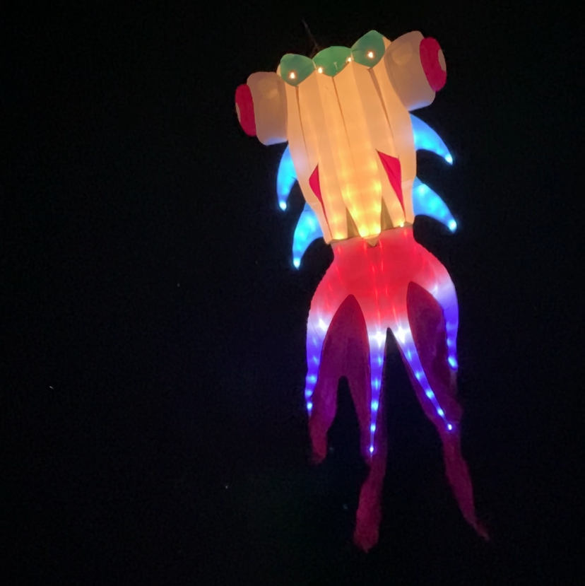 Colorful LED octopus kite on a black background