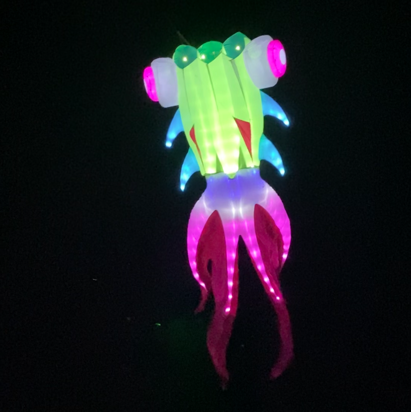 Colorful LED goldfish kite on a black background