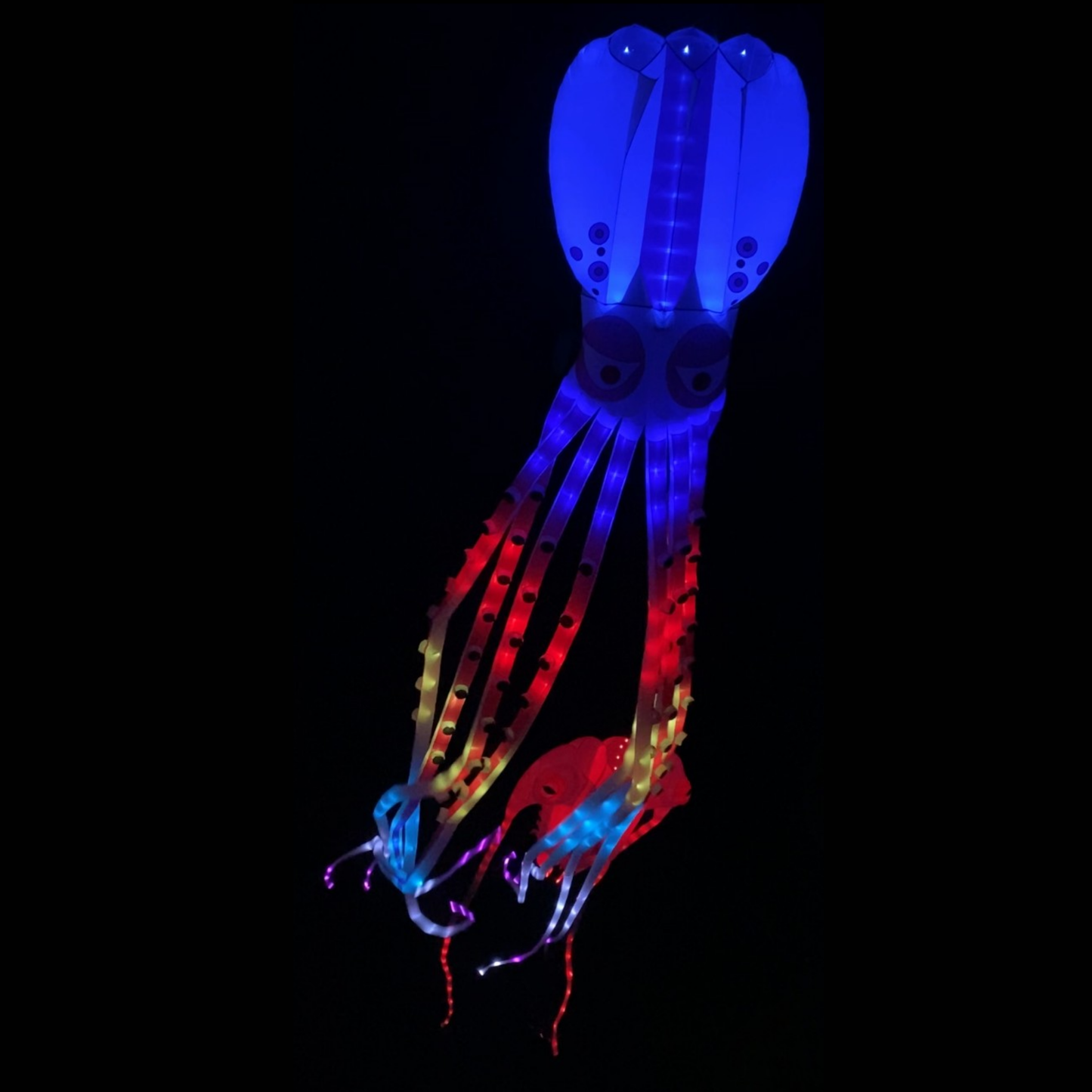 LED squid light up kite glowing in blue, red, and purple on a black background