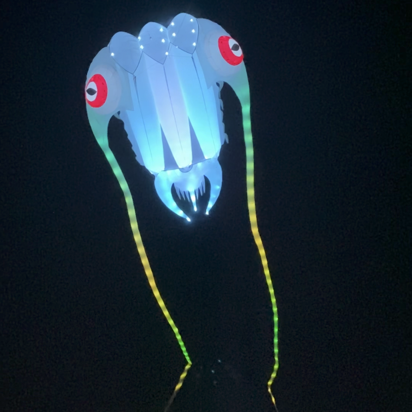 Glowing jellyfish-like kite on a black background