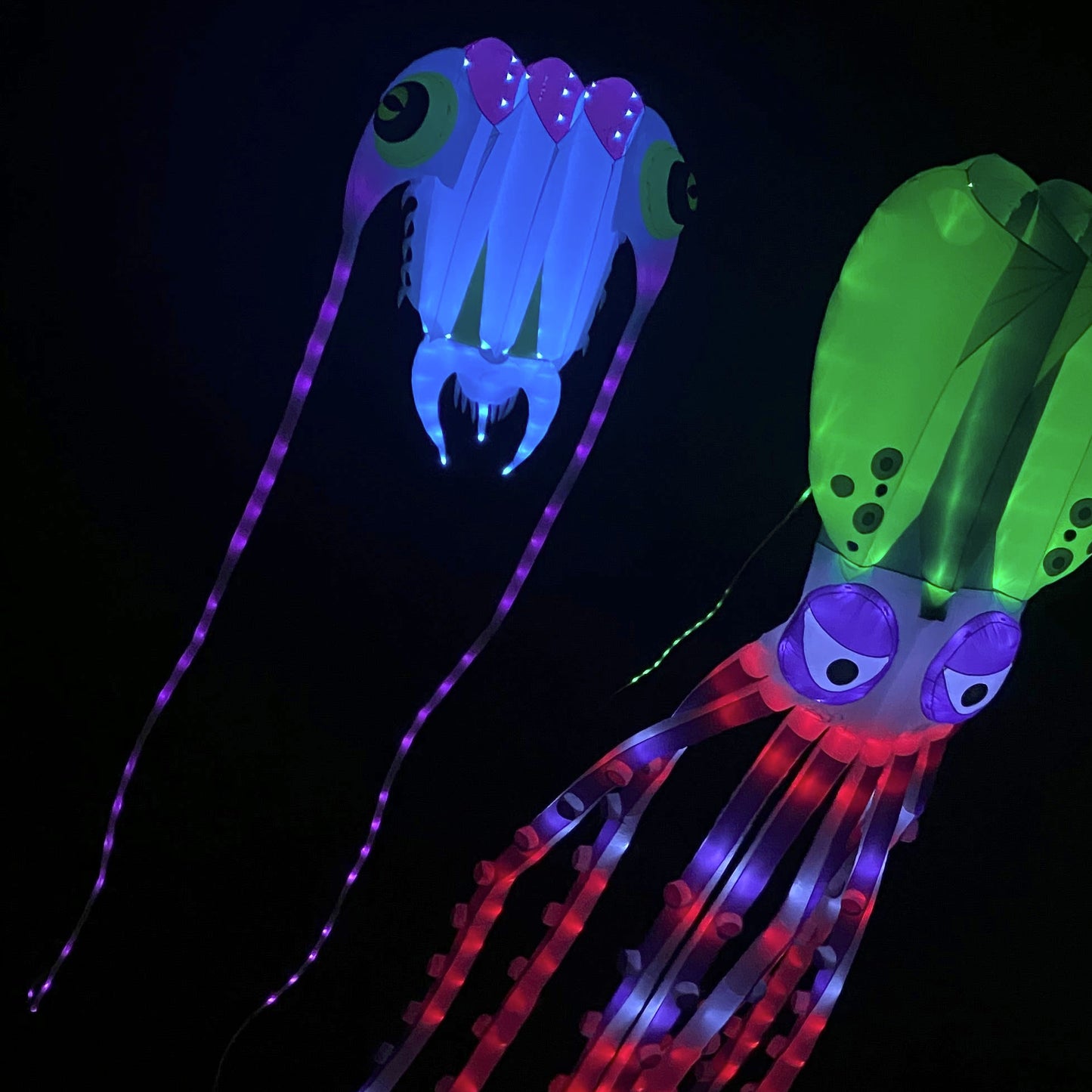 Colorful LED squid toy glowing in the dark