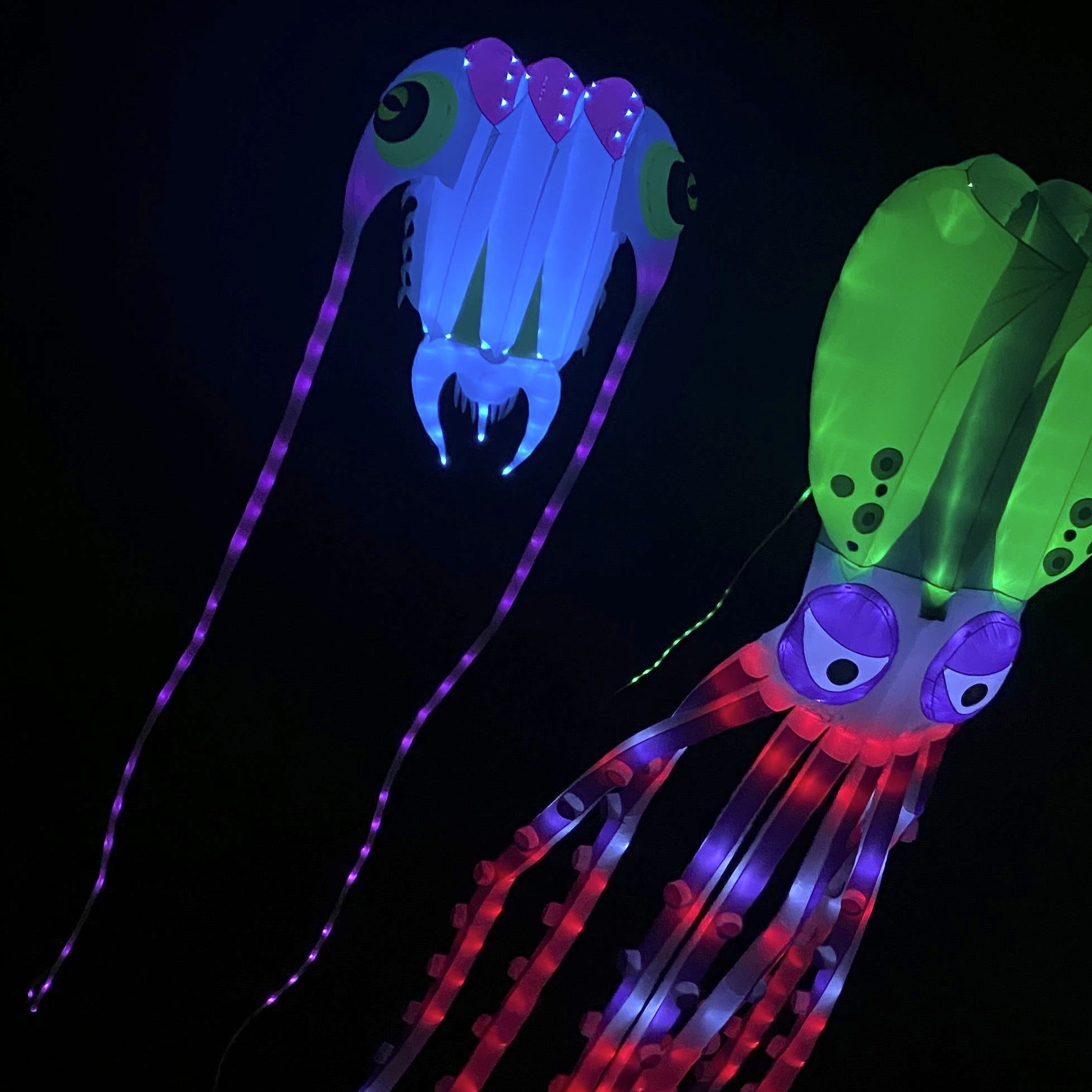 Colorful LED squid toy glowing in the dark