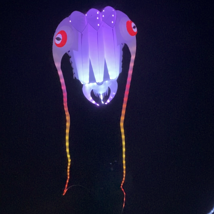 Trilobite night kite against a black sky