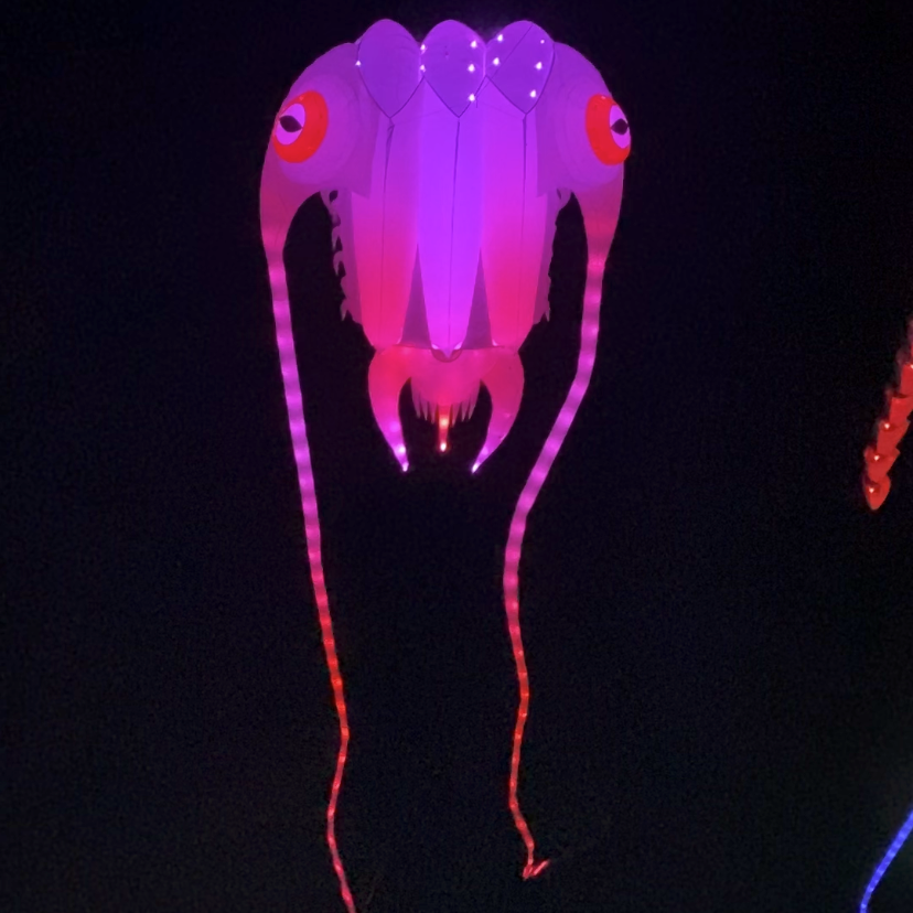 Glowing jellyfish-like creature on a black background
