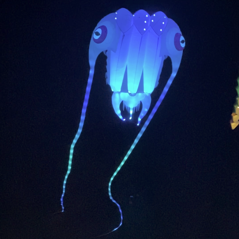 Trilobite night kite glowing in the dark