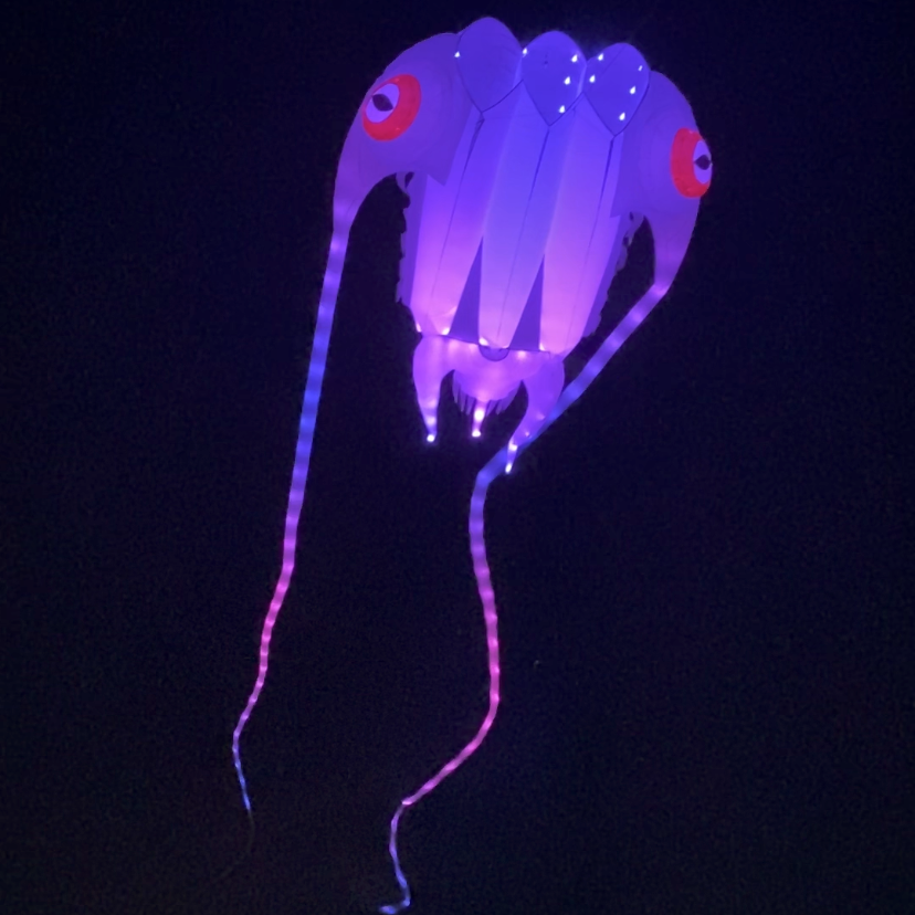 LED Trilobite Night Kite