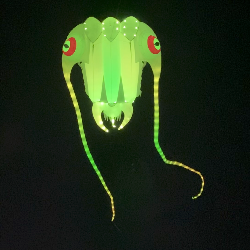 LED Trilobite Night Kite