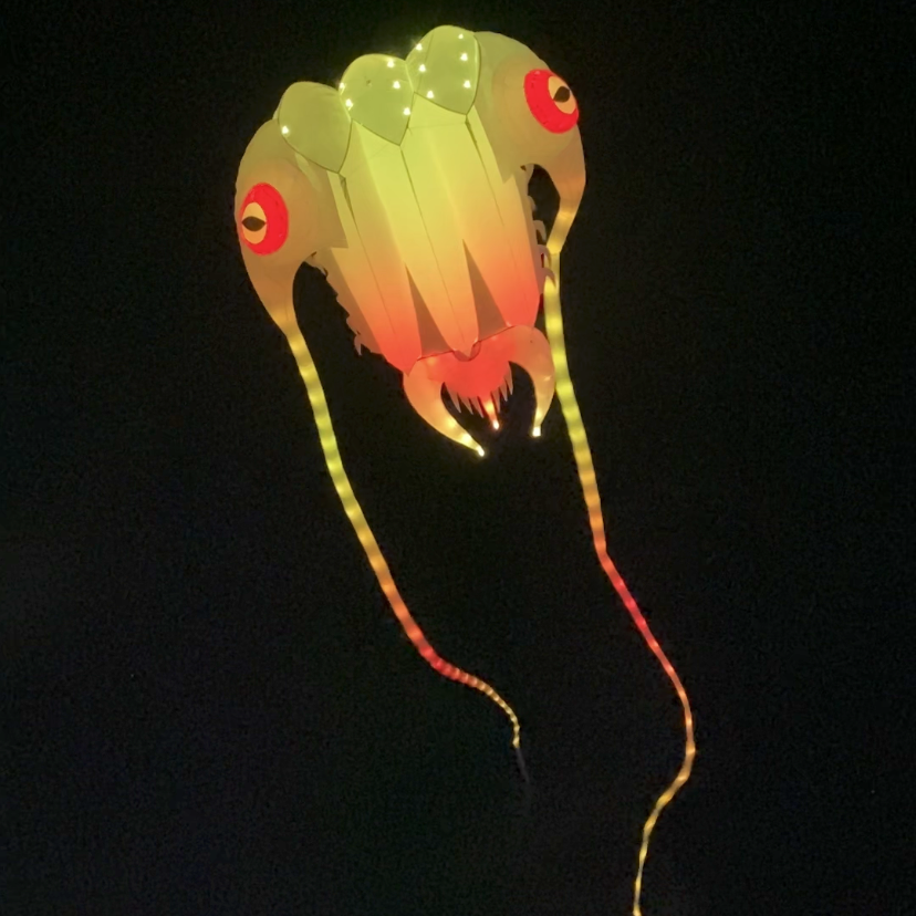 LED Trilobite Night Kite against a black sky