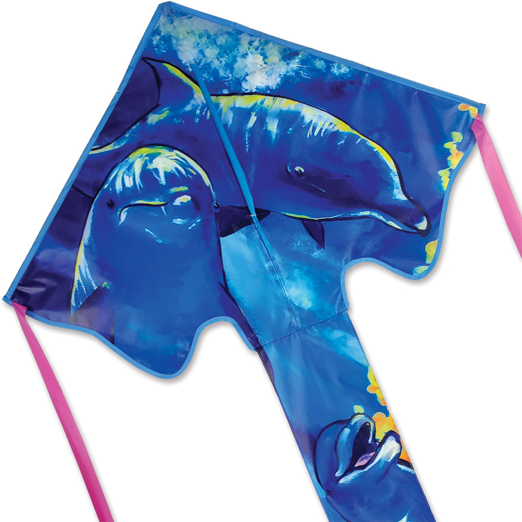 Kite with dolphin design on a white background