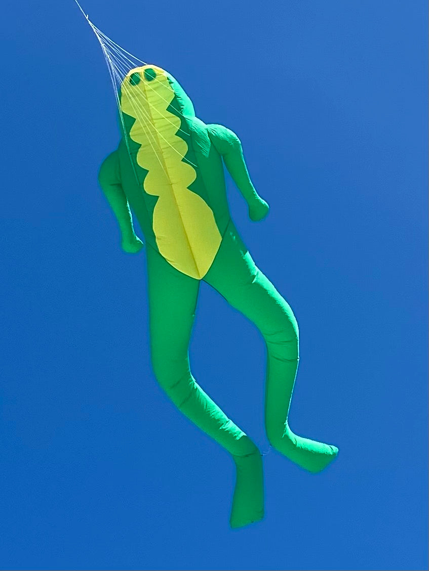 Green and yellow kite shaped like a frog against a blue sky