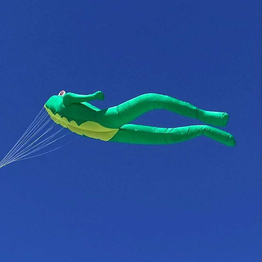 Green frog-shaped kite flying against a clear blue sky