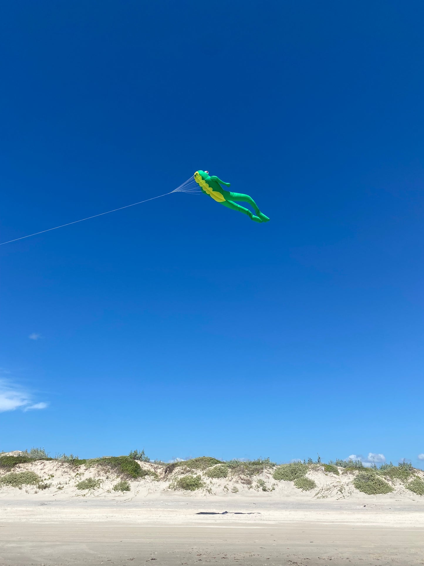 Green and yellow frog kite flying high in a clear blue sky over a beach.