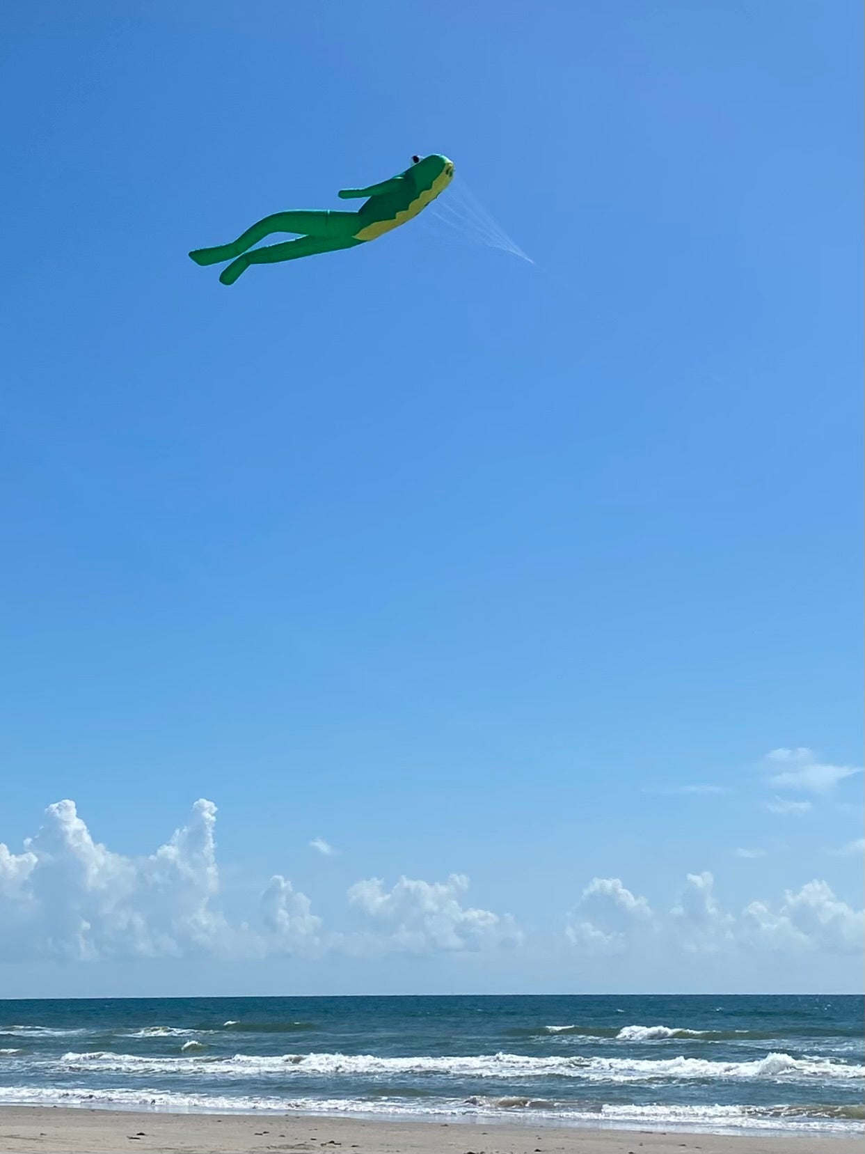 Kite shaped like a frog flying over a beach with ocean and sky in the background