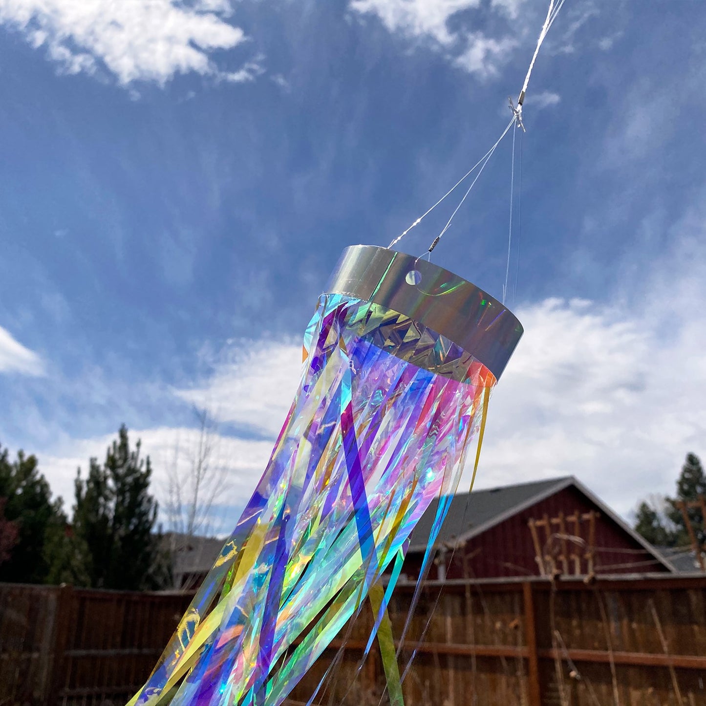 Mylar Windsock - Iridescent