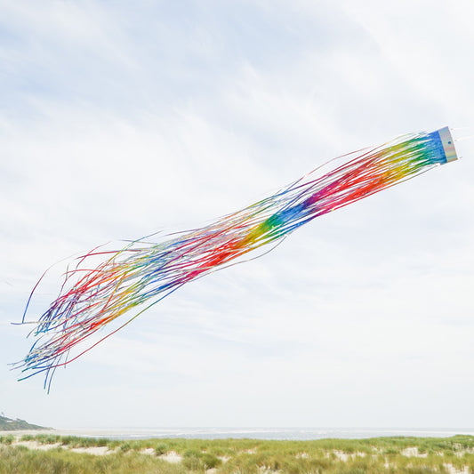 Mylar Windsock - Rainbow