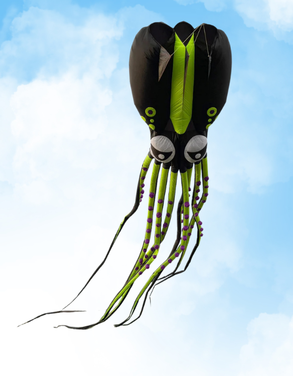 Black and green squid-shaped kite against a blue sky